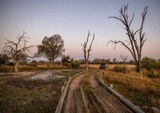 vumbura lodge